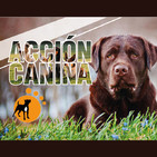 Acción Canina 4