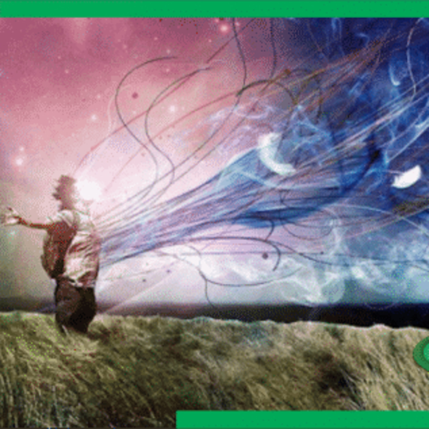 La semilla del éxito