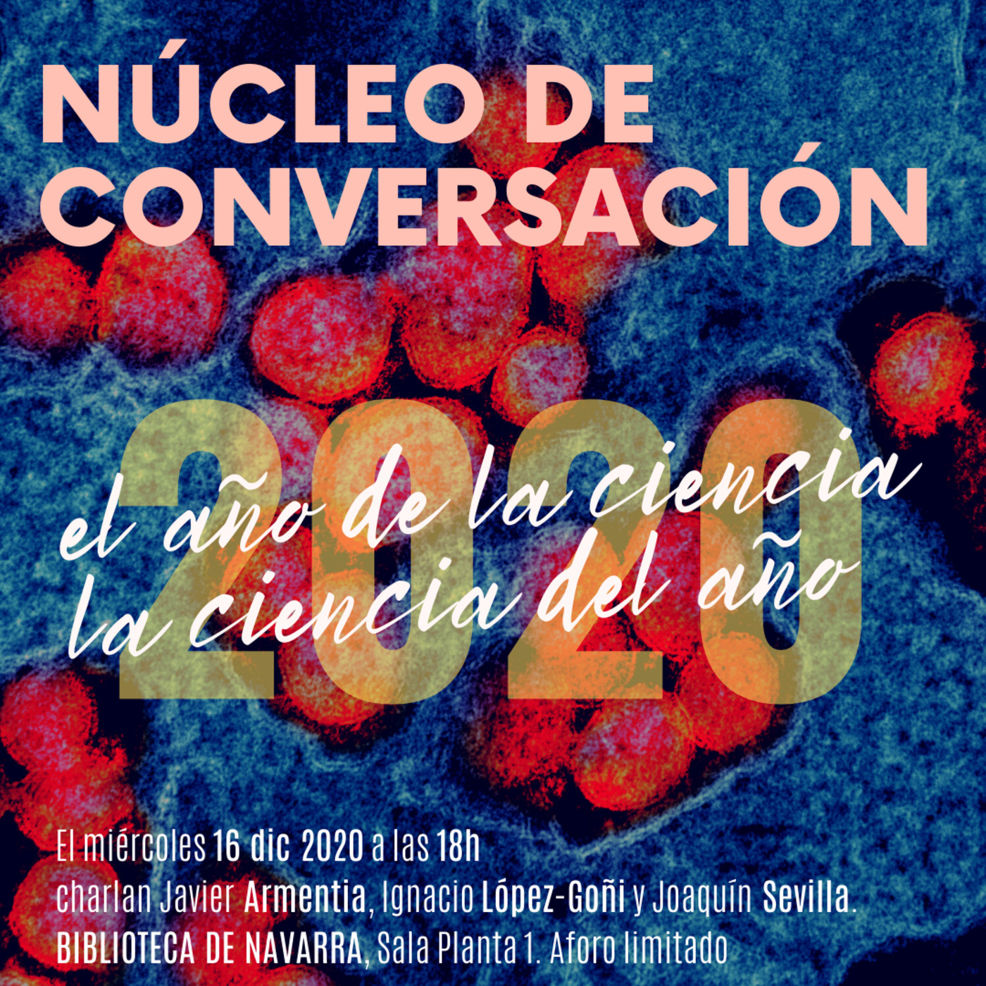 Núcleo de Conversación