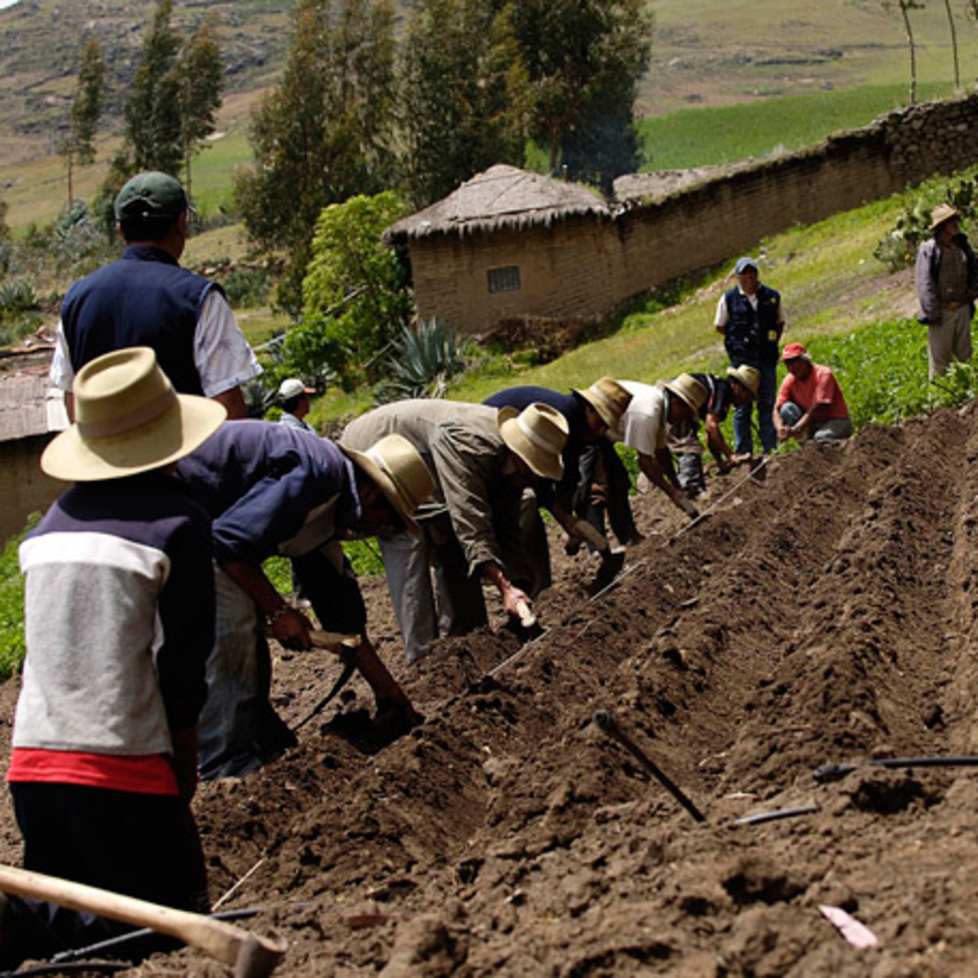 Red de Prensa Alternativa Zur RPAZ
