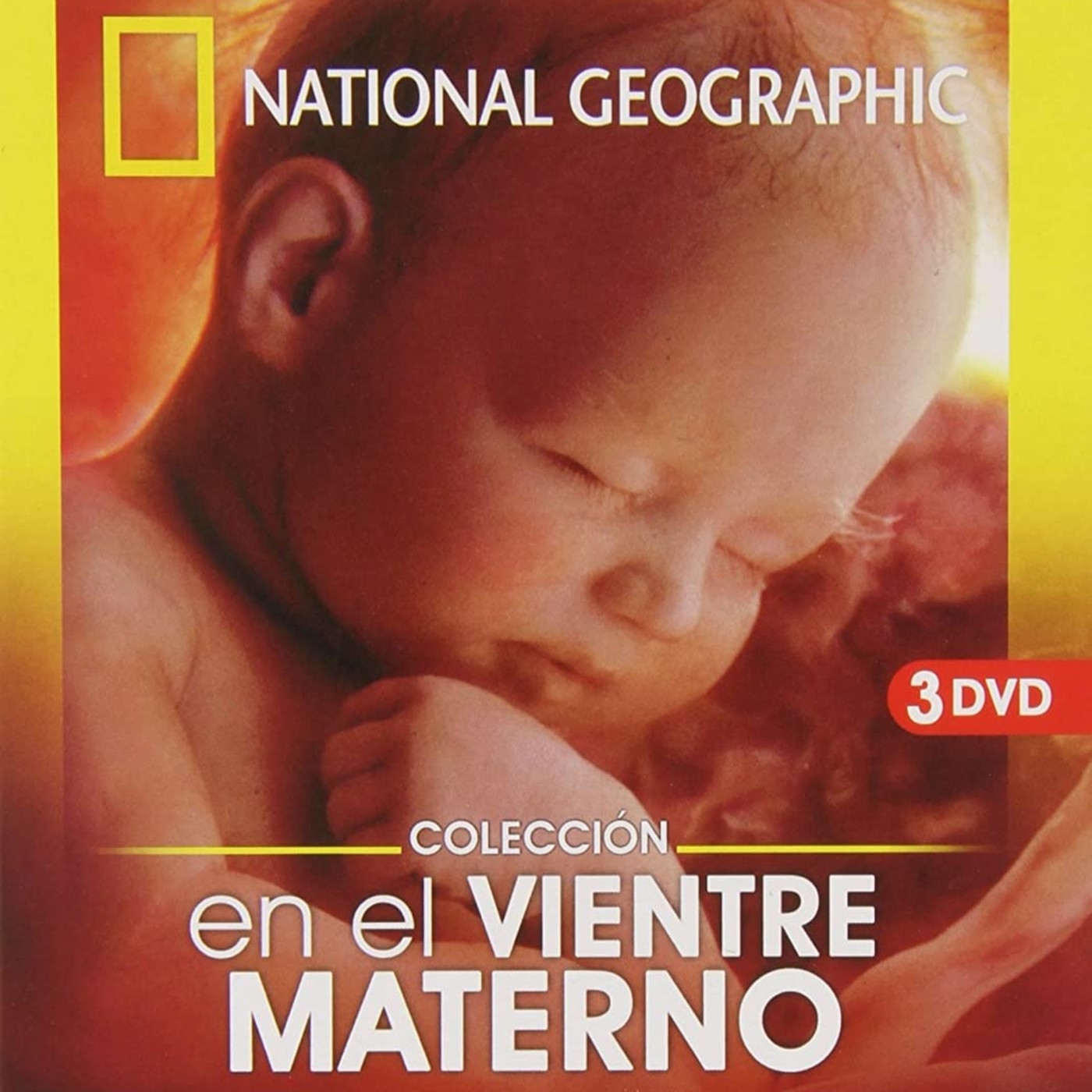 La brújula - un canal de Historia