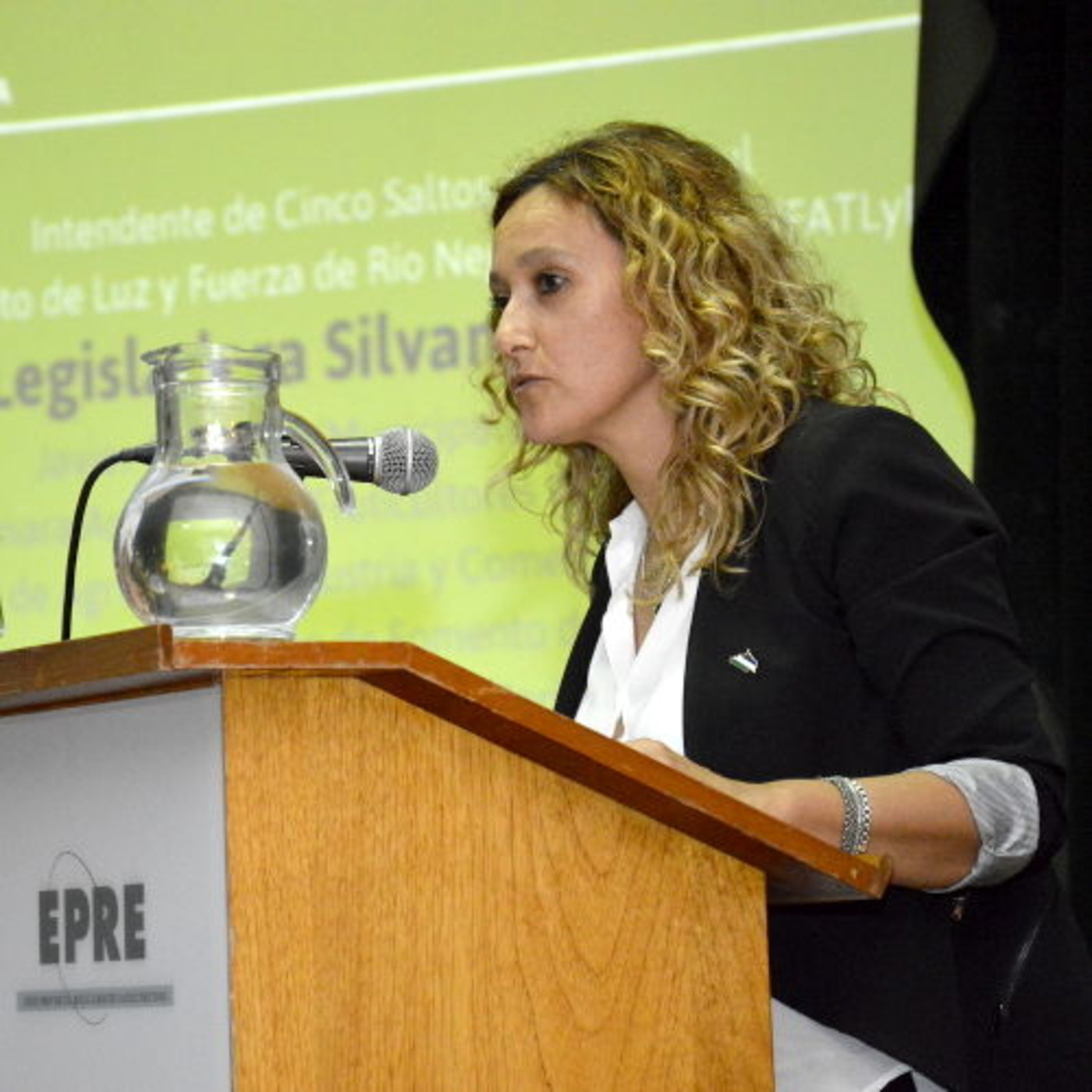 Audiencia Pública 4° RTO EdERSA