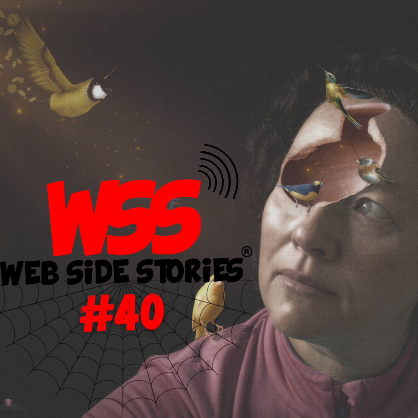WSS #40 - Entrevista WSS: Noëlle Mauri episode artwork