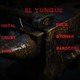El Yunque 38