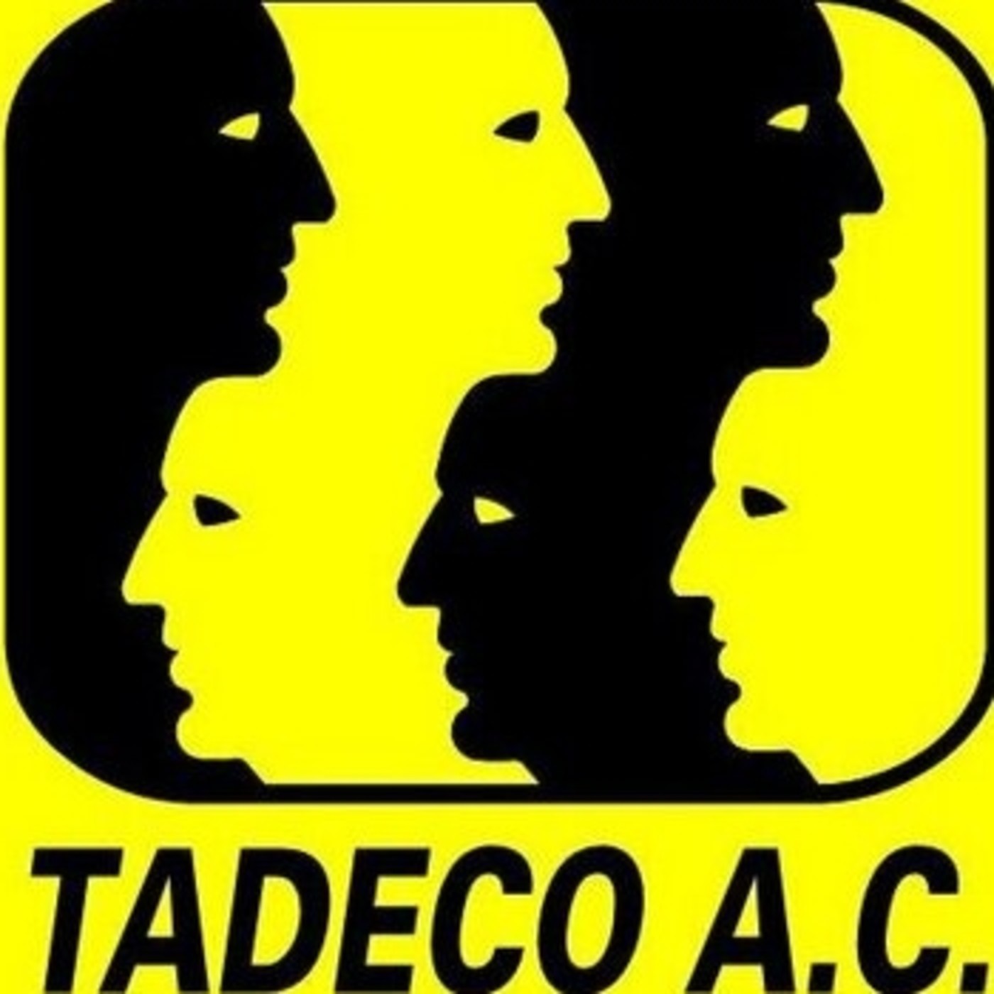 Audios Taller Desarrollo Comunitario A.C.