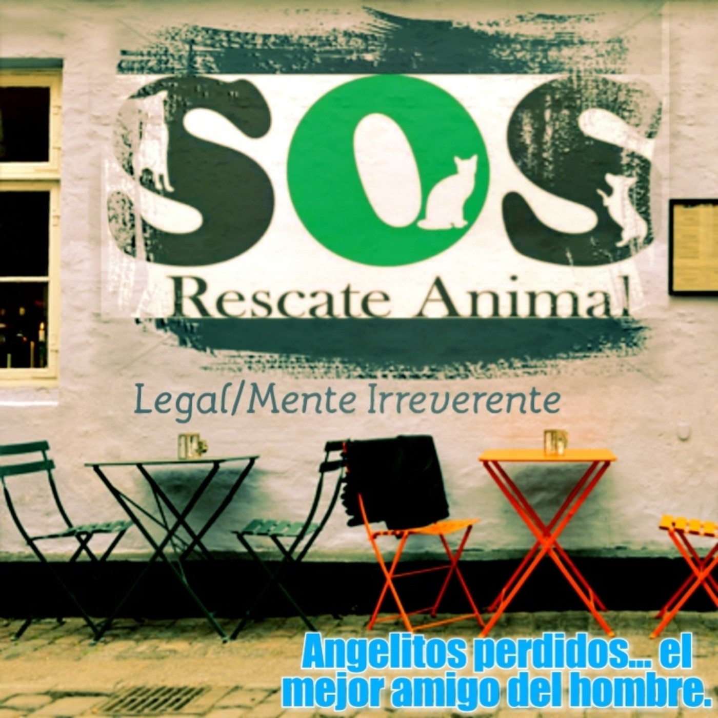 Legal/Mente Irreverente