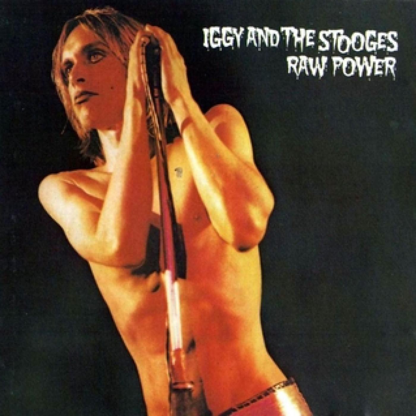 Punk Al 100 X 100 - Raw Power episode artwork