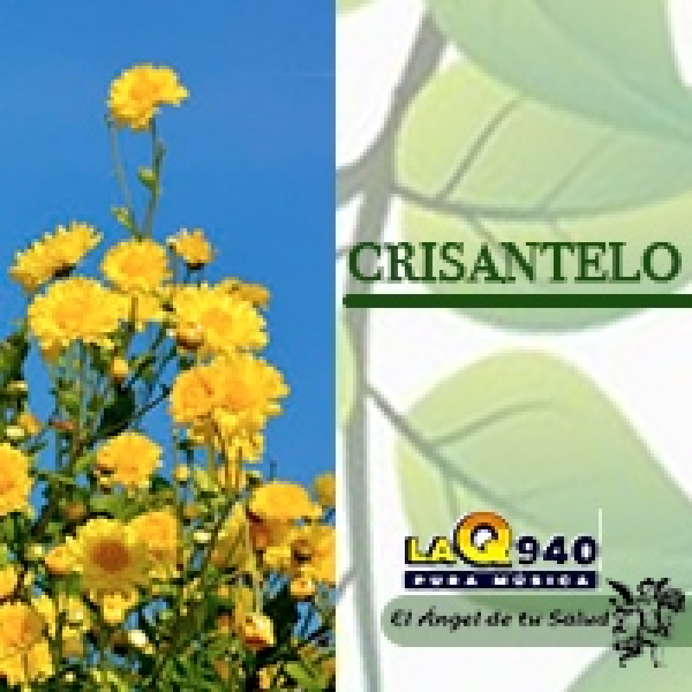 El Ángel de tu Salud - Crisantelo** episode artwork