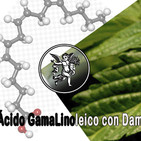 El Ángel de tu Salud - GLA CON DAMIANA