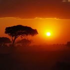 Luis Tobajas: Cómo hacer un Safari en Kenia