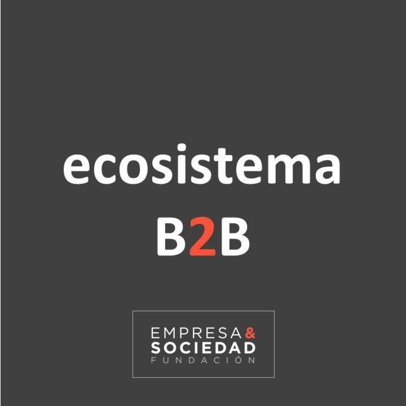 ECOSISTEMA B2B de la Fundación Empresa y Sociedad