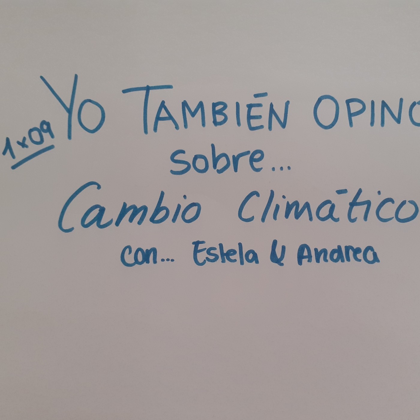 YO TAMBIÉN OPINO