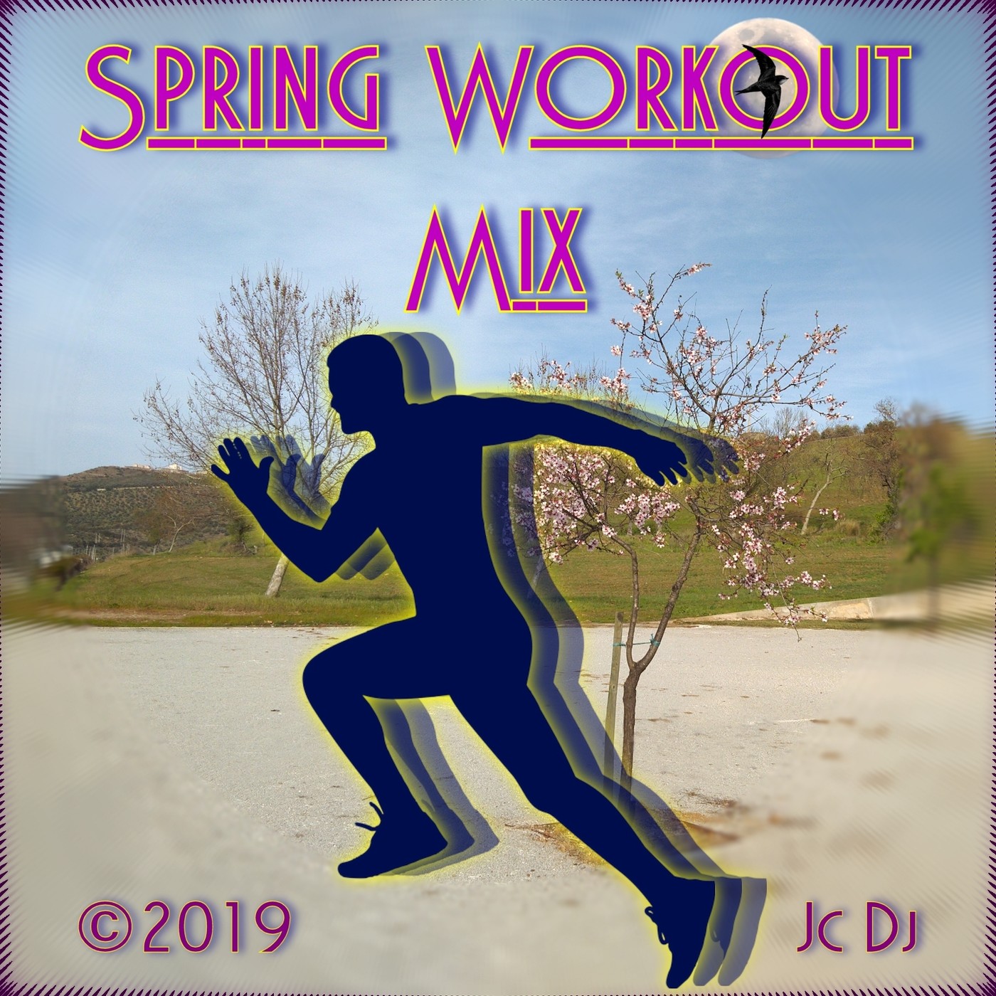 Workout Sessions by Jc Dj