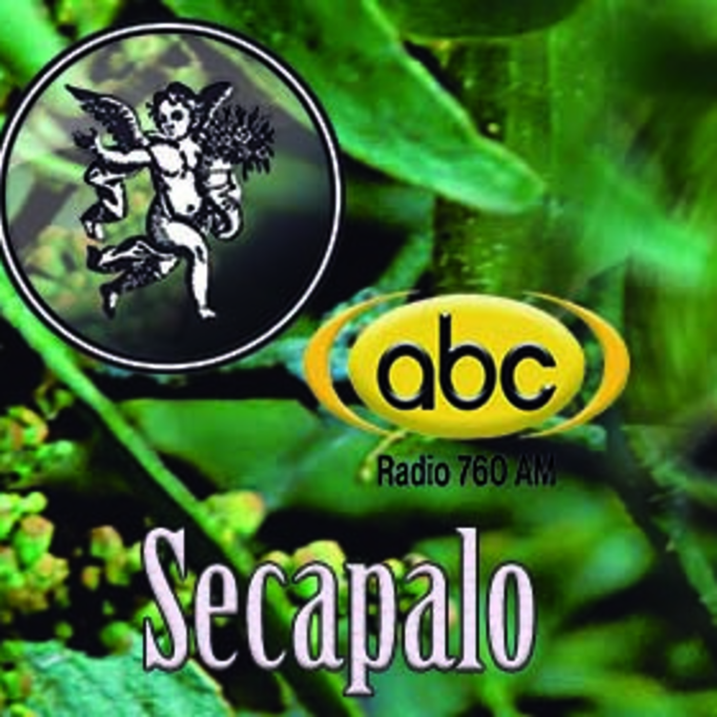 El Ángel de tu Salud -SECAPALO episode artwork
