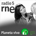 Bajan las emisiones de CO2 en 2018 (FEC) - Planeta Vivo, Radio 5 (RNE)