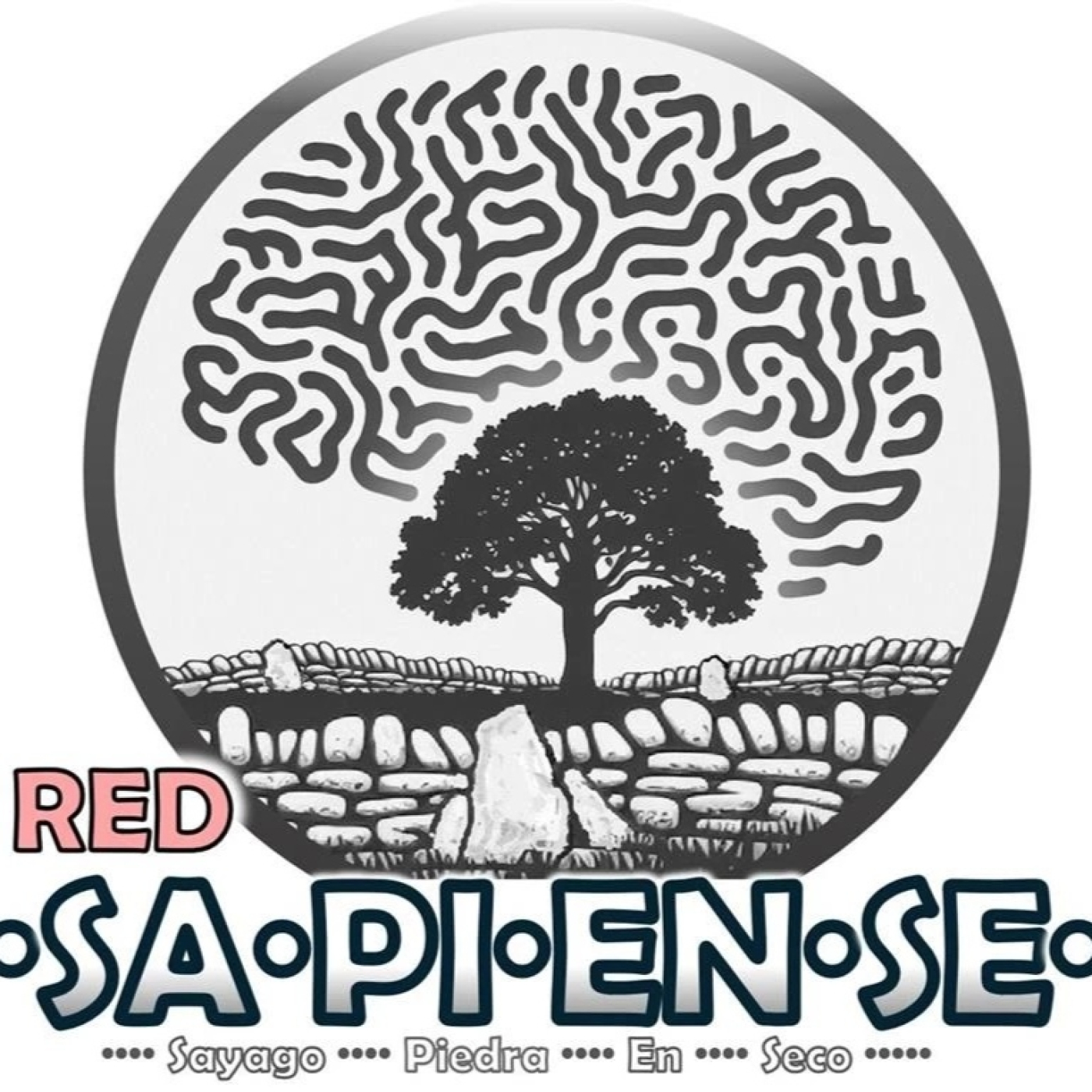 Entrevista Red SAPIENSE episode artwork