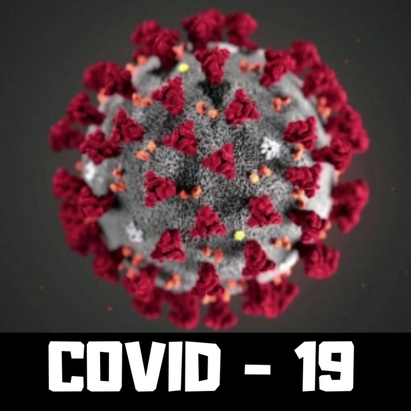 CORONAVIRUS, SANIDAD, EDUCACIÓN y Una sociedad en pañales