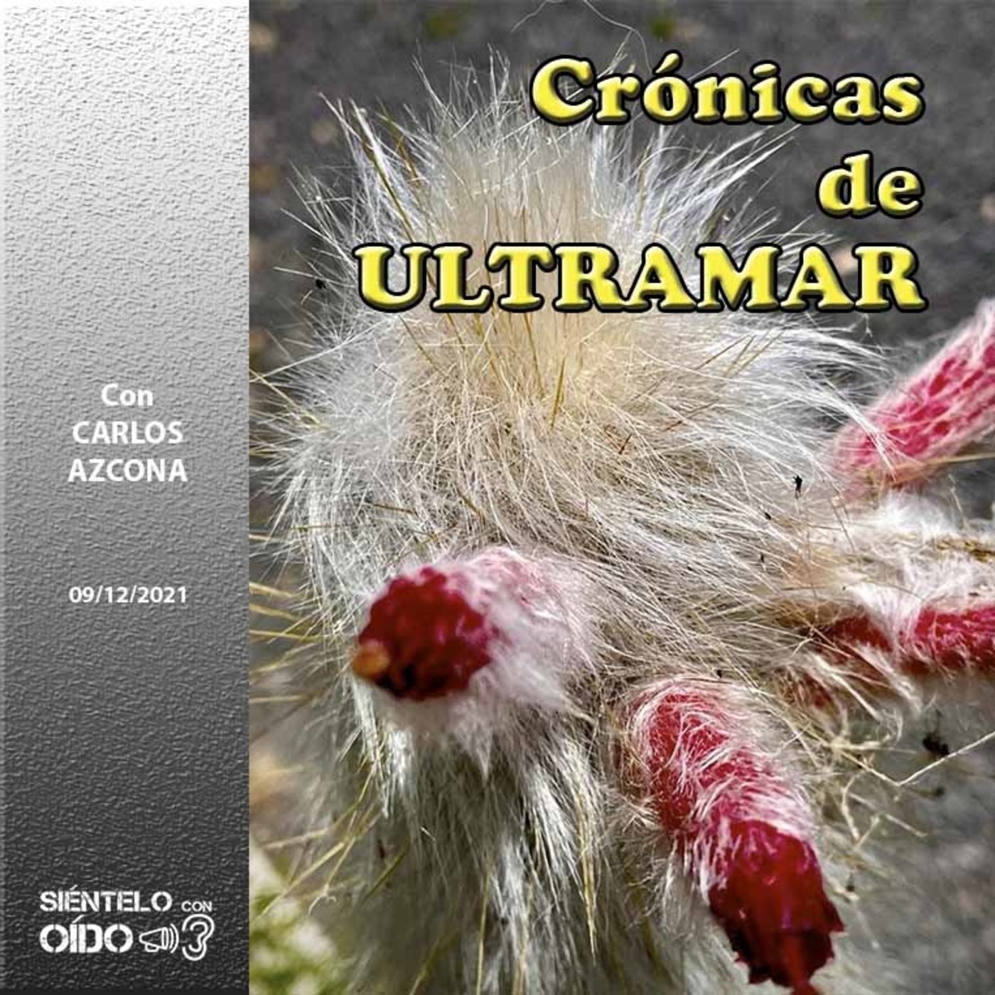 CRÓNICAS DE ULTRAMAR