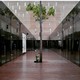 Nos borran la memoria (2)