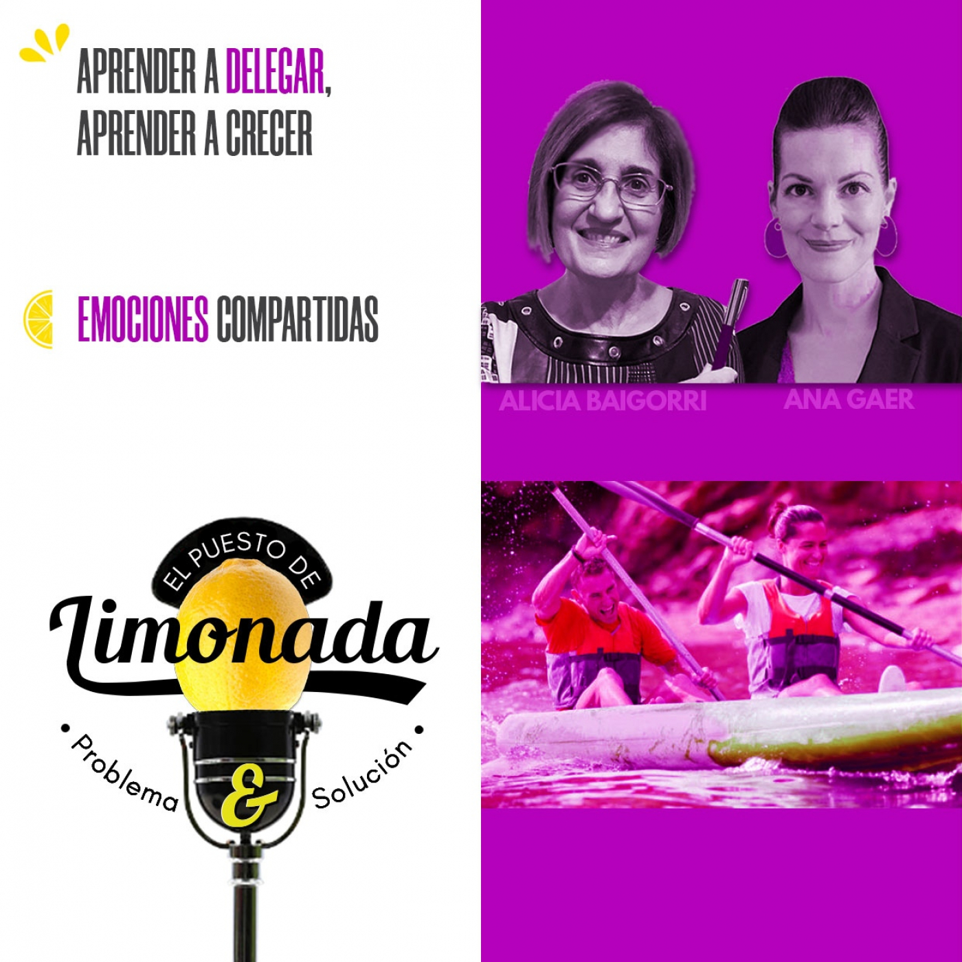 El Puesto de Limonada de P&S - Problema y Solución