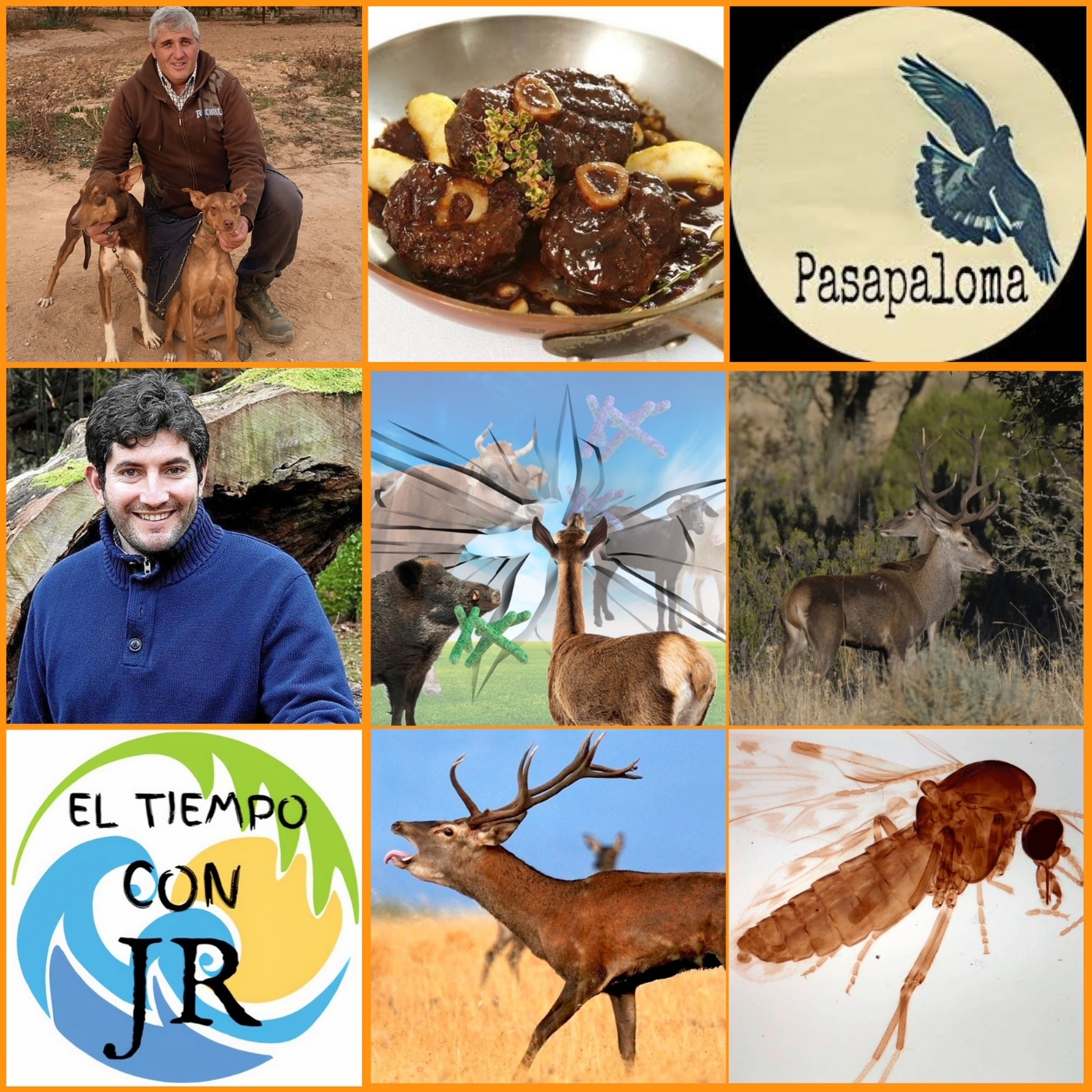 EL MORRAL DEL CAZADOR 08-12-2023 PROG 353 "LA ENFERMEDAD HEMORRÁGICA EPIZOÓTICA, SITUACIÓN Y EVOLUCIÓN EN UNGULADOS