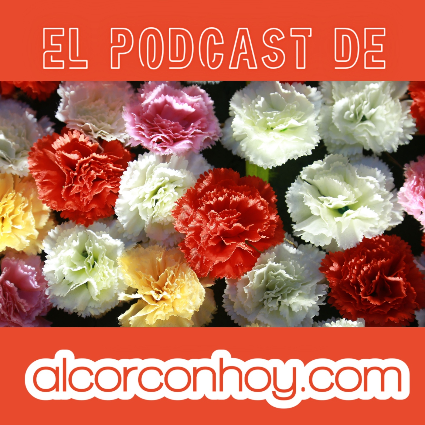 alcorconhoy.com - Tus noticias de Alcorcón
