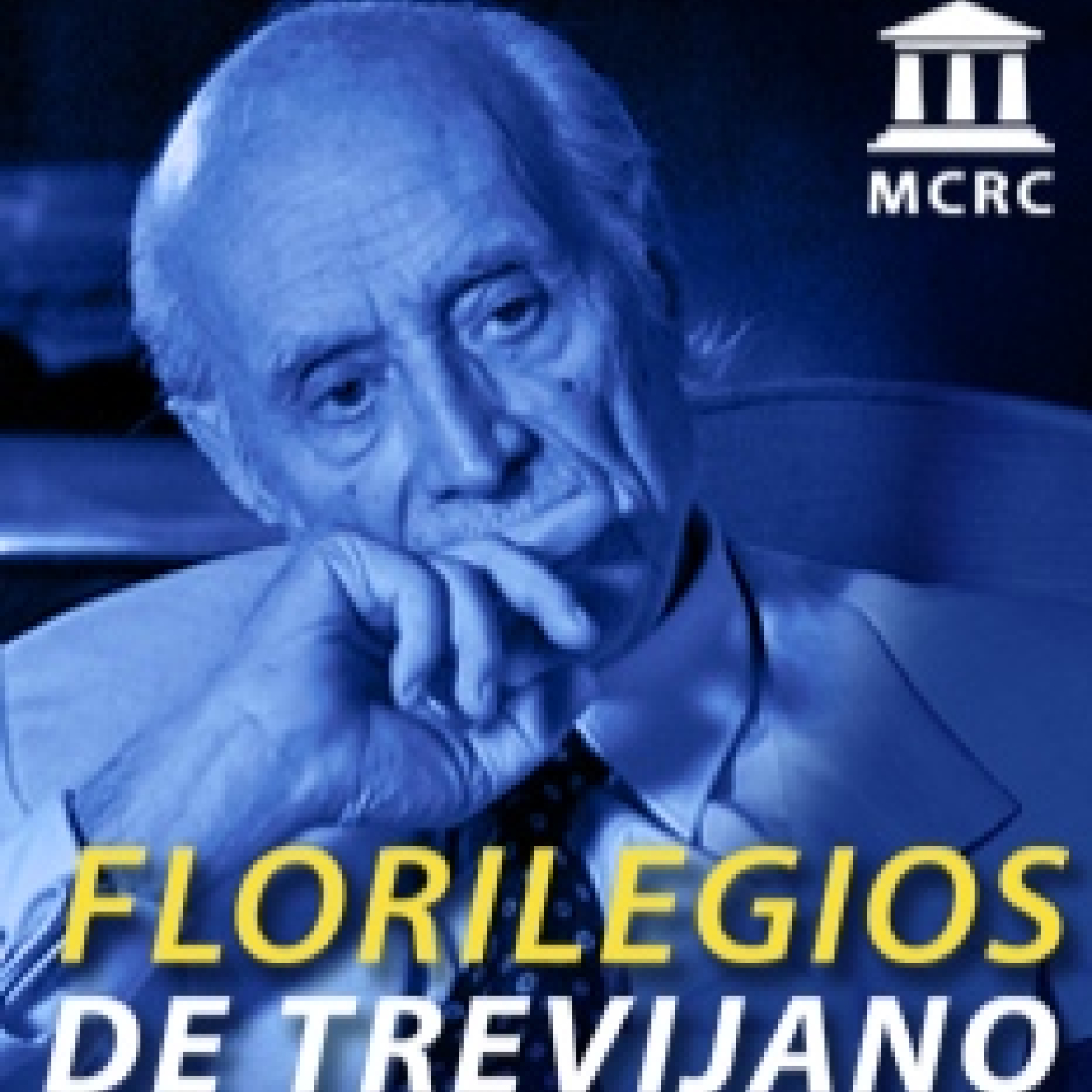 Radio Libertad Constituyente