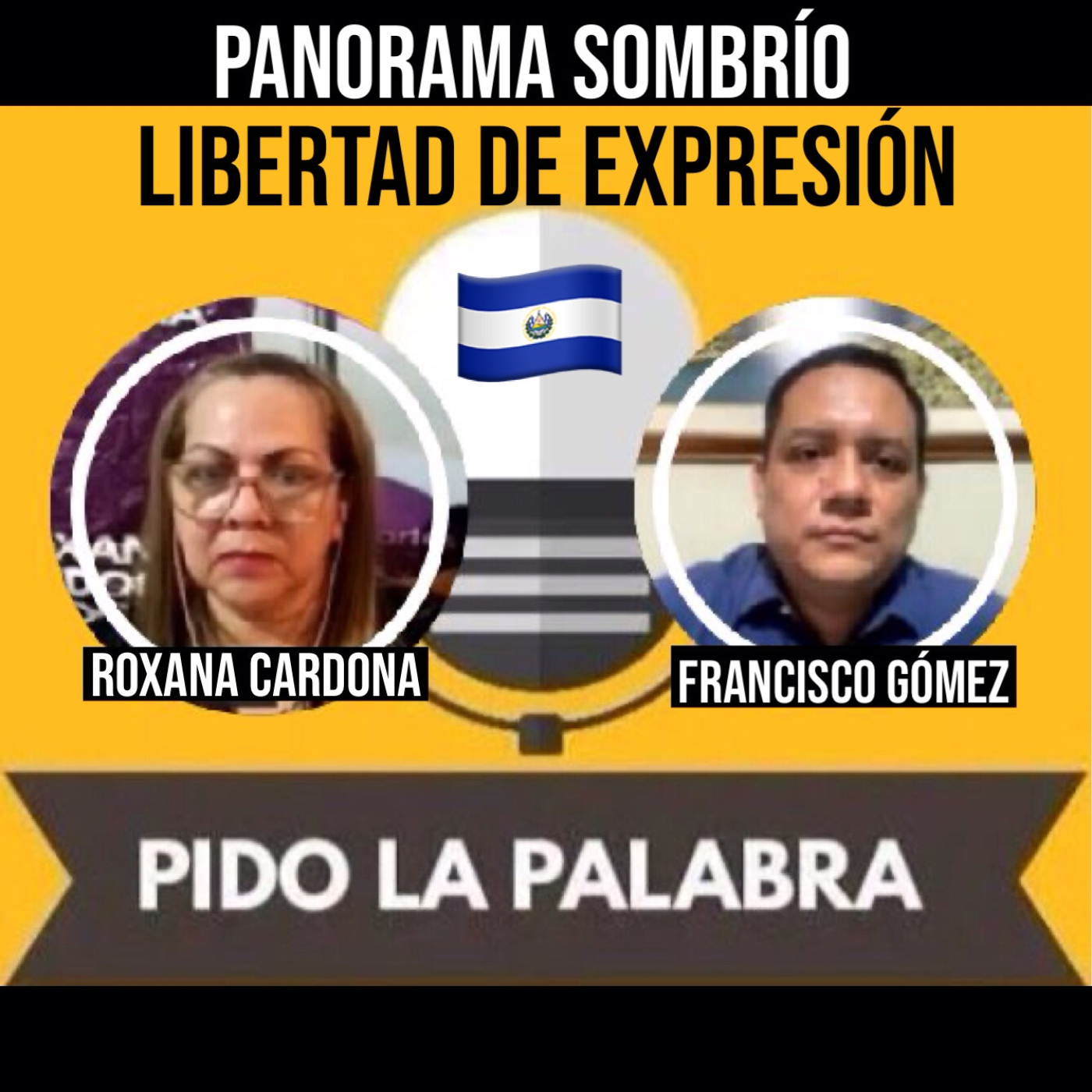 PANORAMA SOMBRÍO para la LIBERTAD DE EXPRESIÓN / Roxana Cardona y Francisco Gómez episode artwork