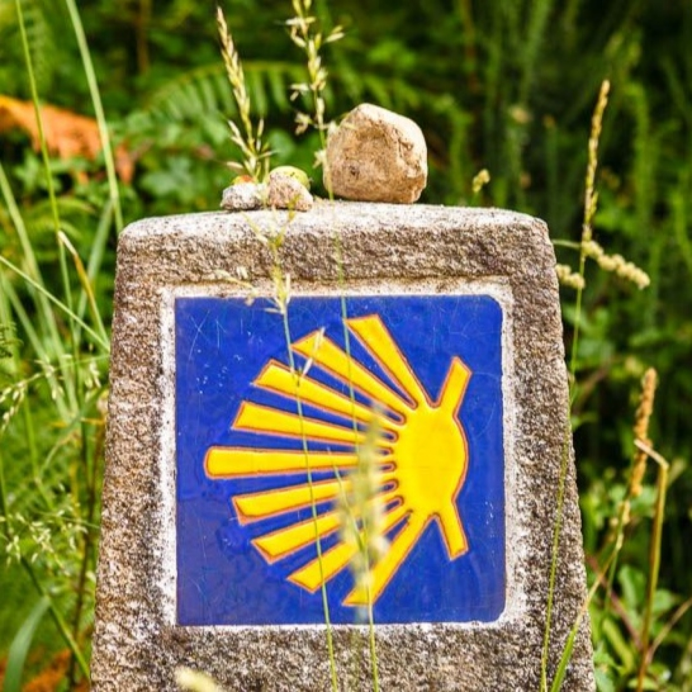 Podcast de MARÍA DEL CARMEN RAMÓN