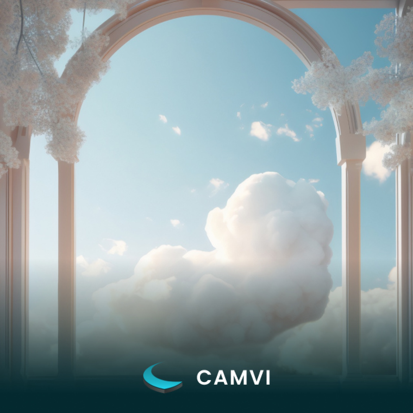 CAMVI