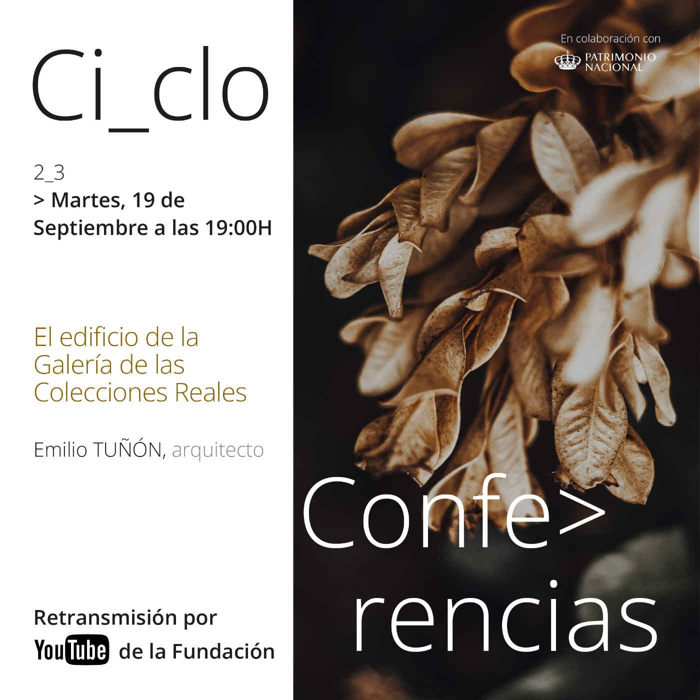 Conferencias