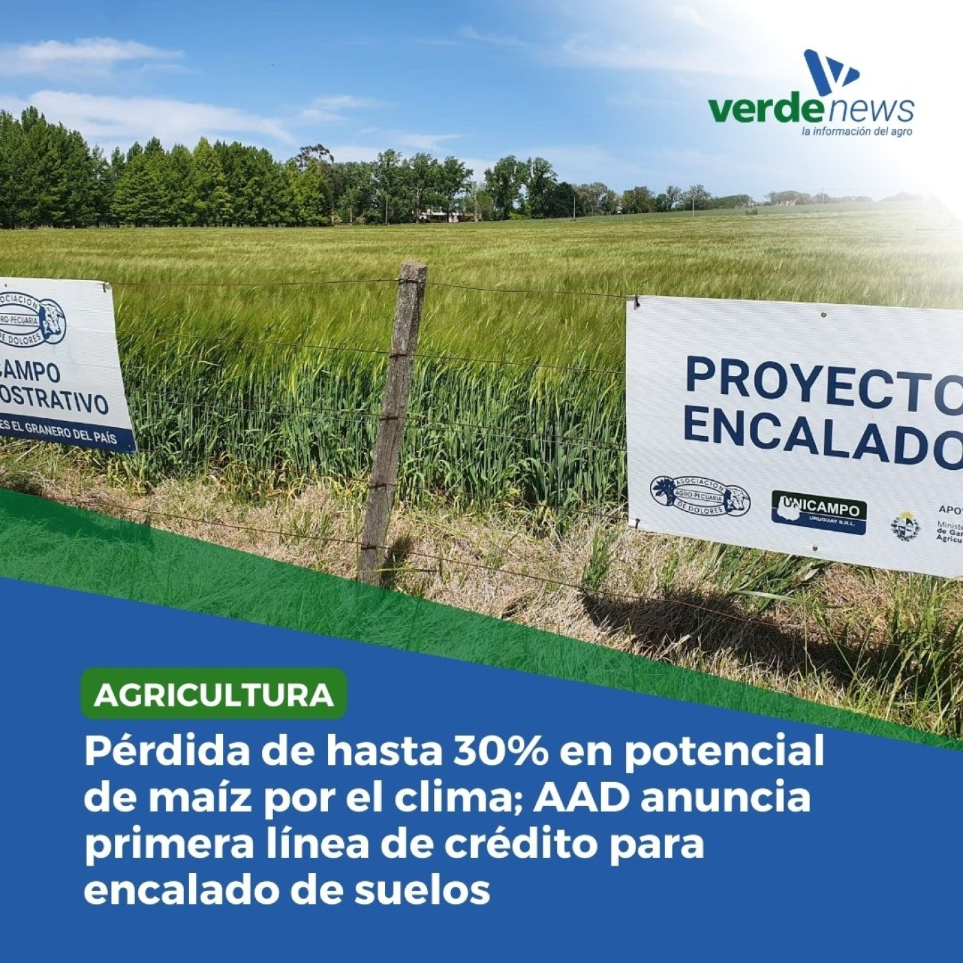 verdemedia