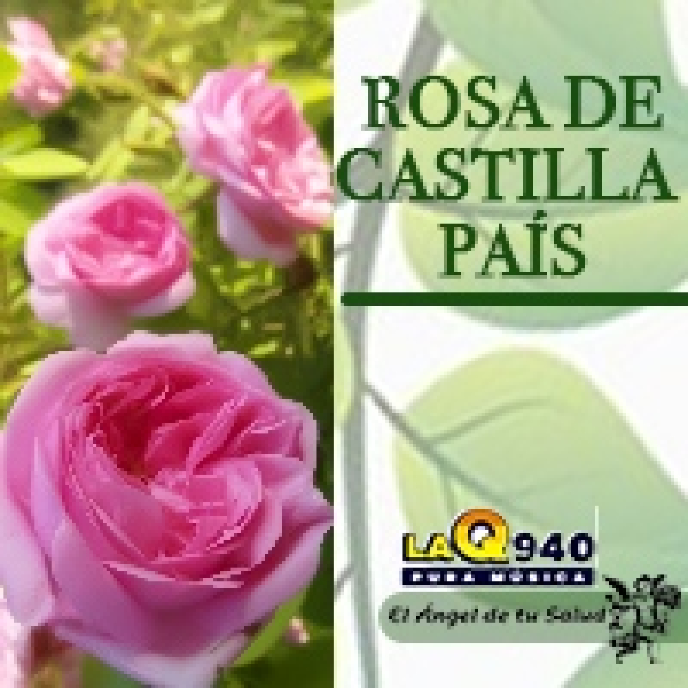 El Ángel de tu Salud - Rosa de Castilla País** episode artwork