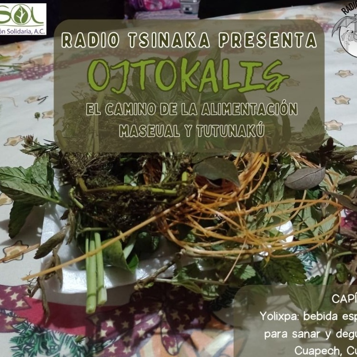 Radio Tsinaka Yolixpa: bebida espirituosa para degustar y sanar