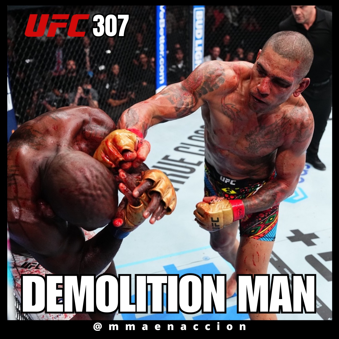 MMA en acción