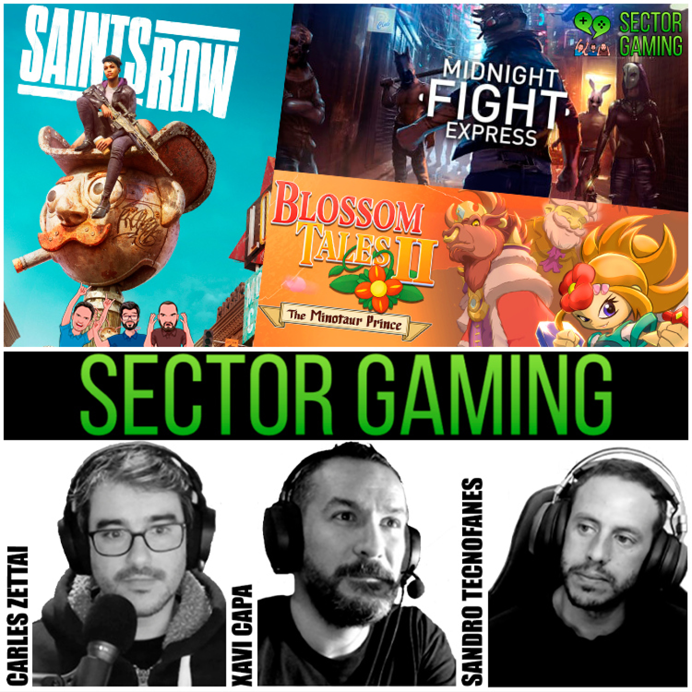 Sector Gaming