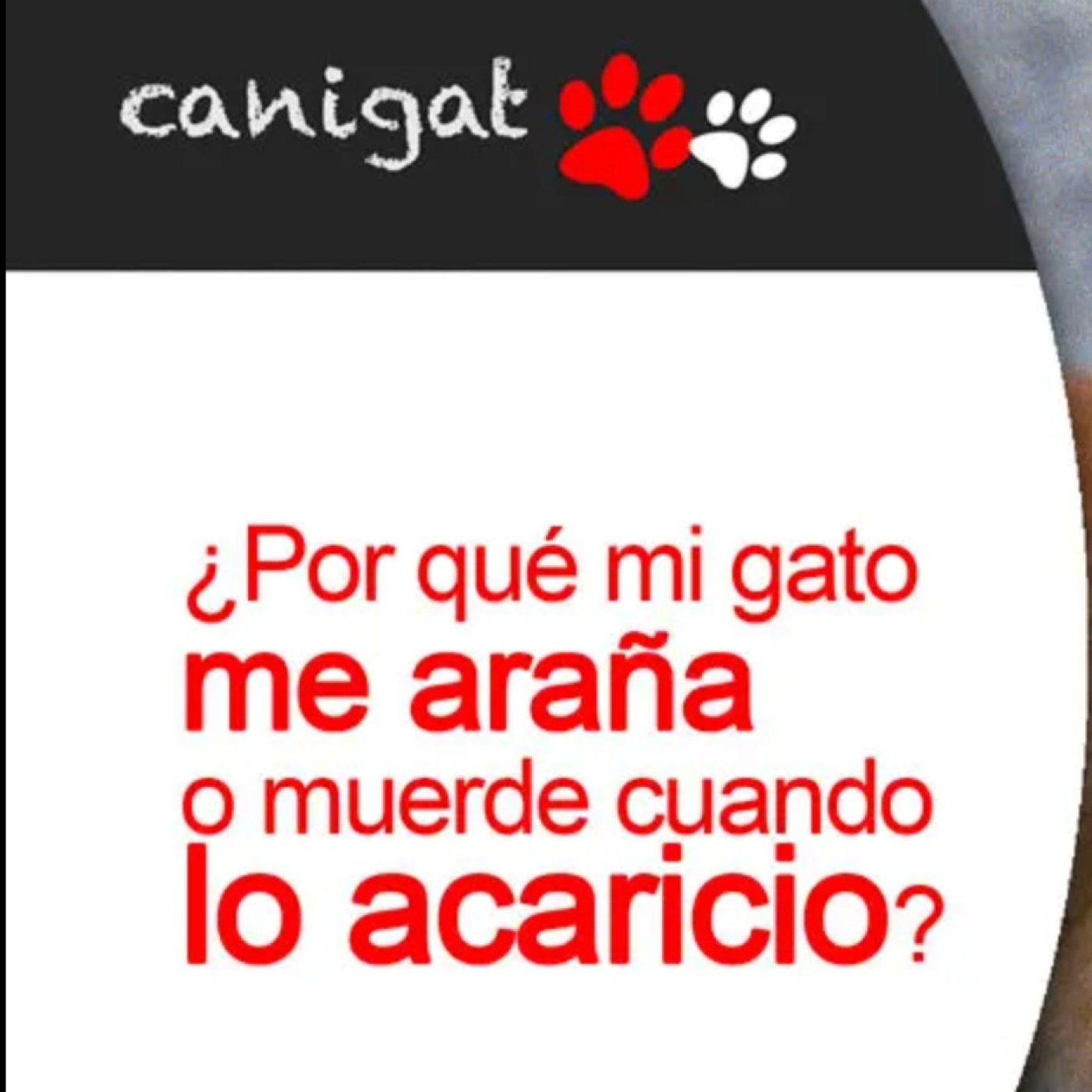 Consejos veterinarios de perros y gatos by canigat