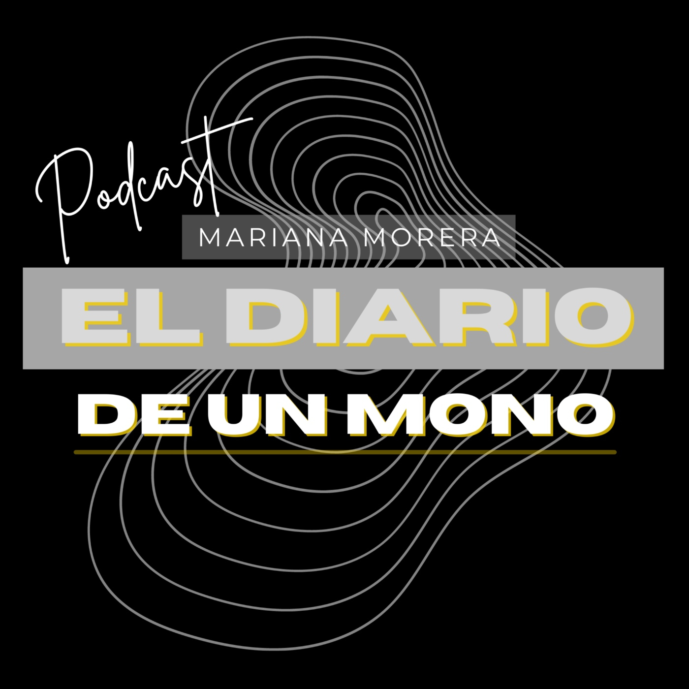 El Diario de un artista