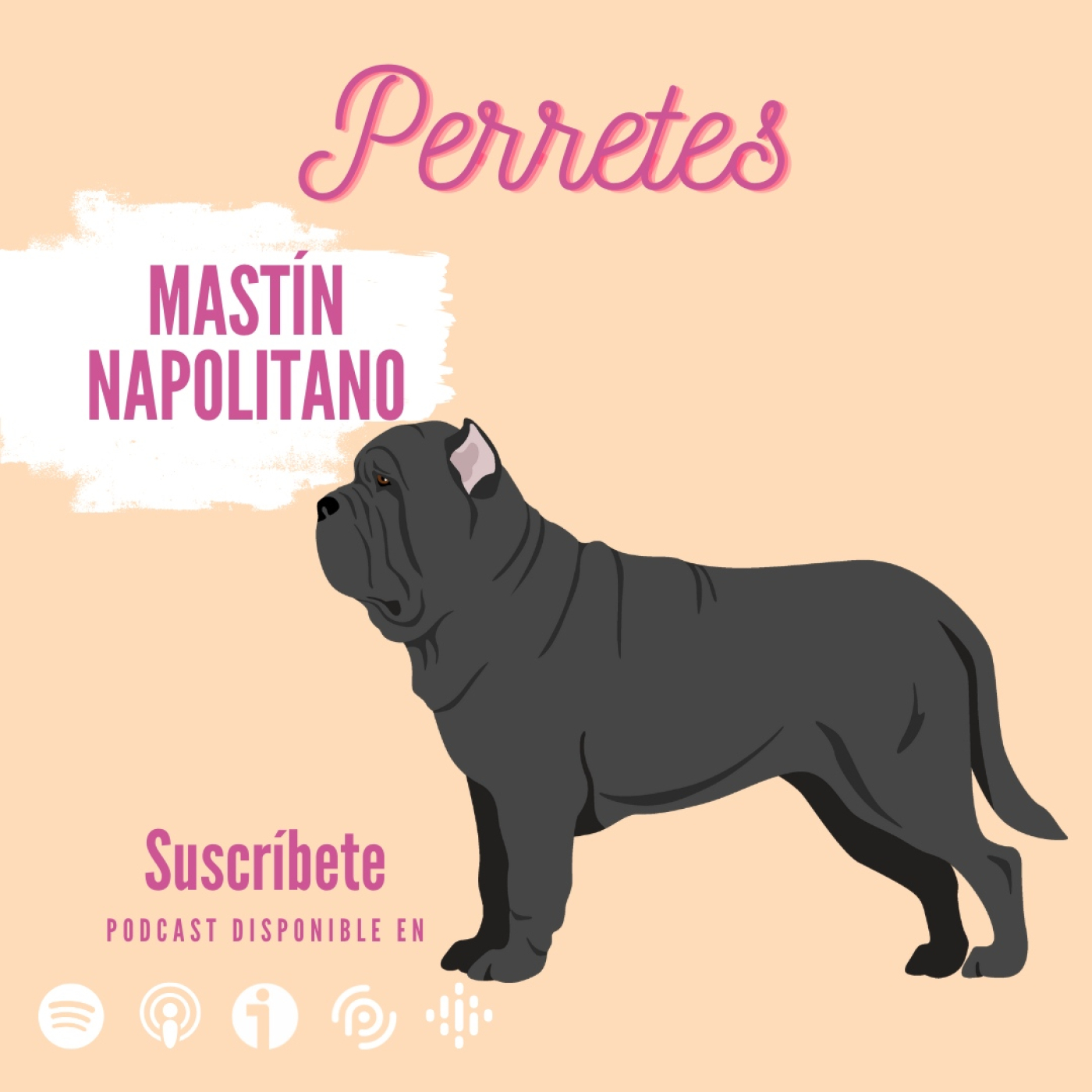 Perretes | Las razas de perros