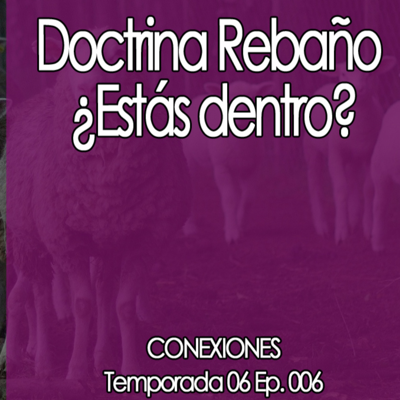 Conexiones Doctrina Rebaño ¿Estás dentro? episode artwork