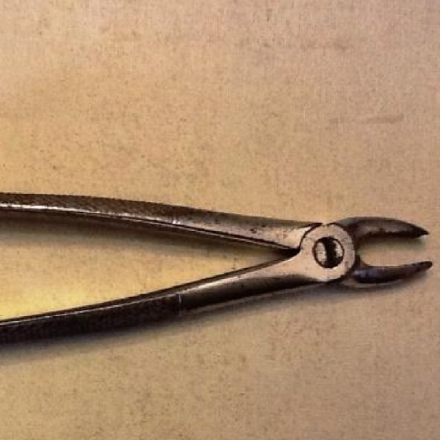 Daniel Seijas Palco de Estrelas