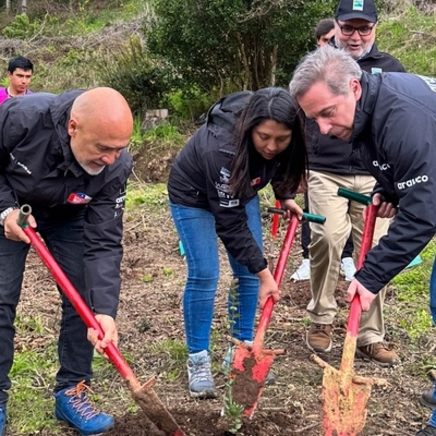 Cuñas recibidas en Lanalhue Noticias
