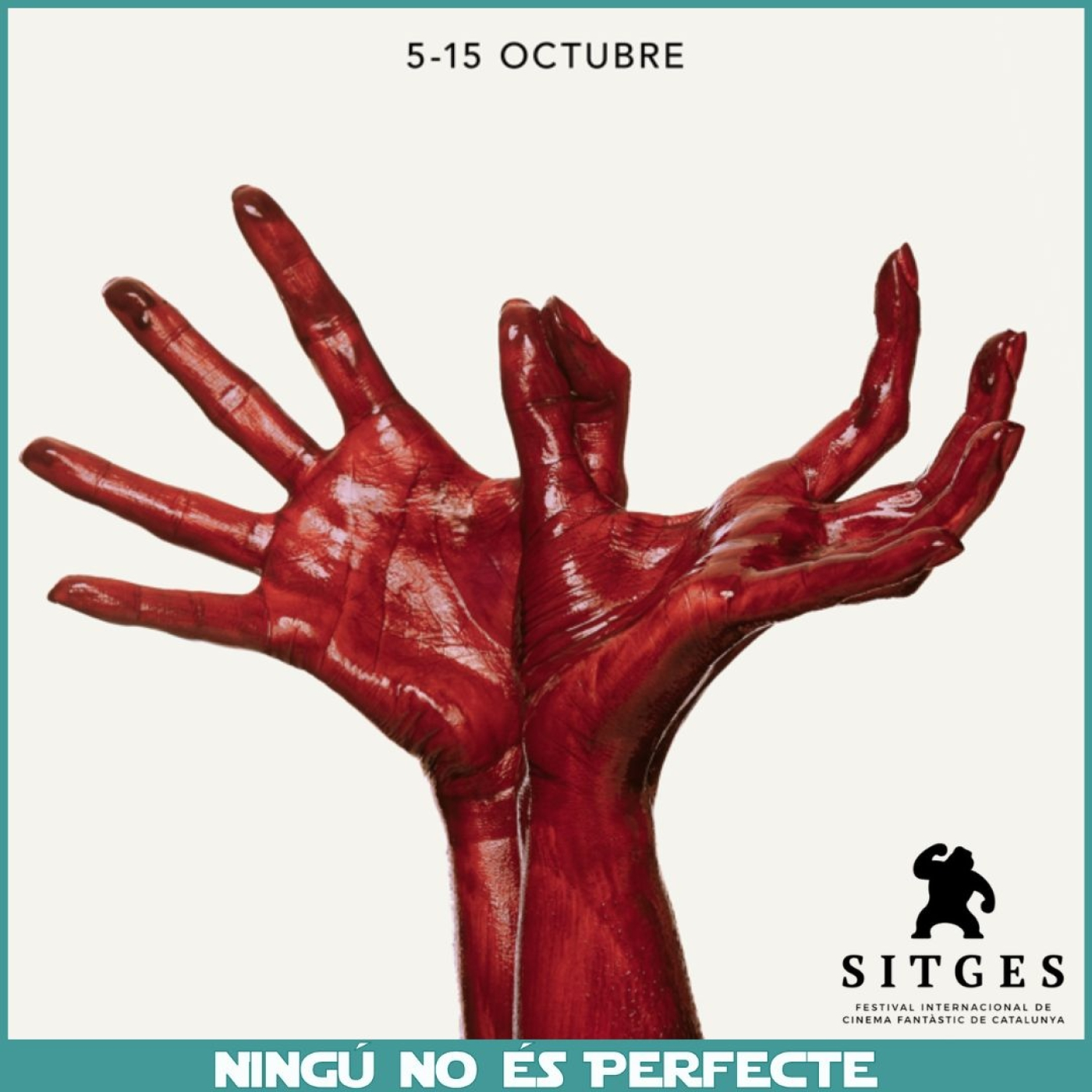 Podcast Ningú no és perfecte