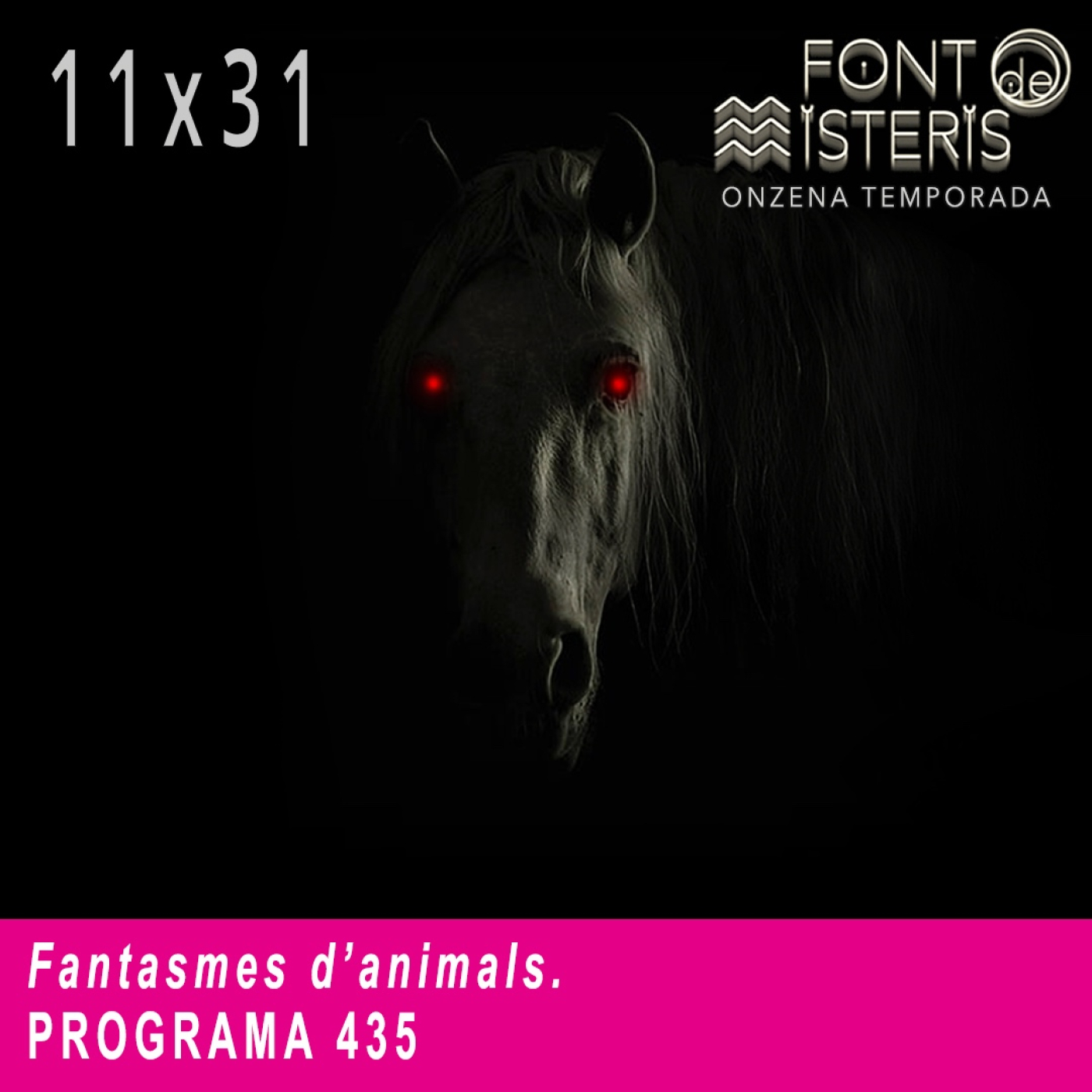 FONT DE MISTERIS T11P31- Fantasmes d'animals-Programa 435| IB3 Ràdio