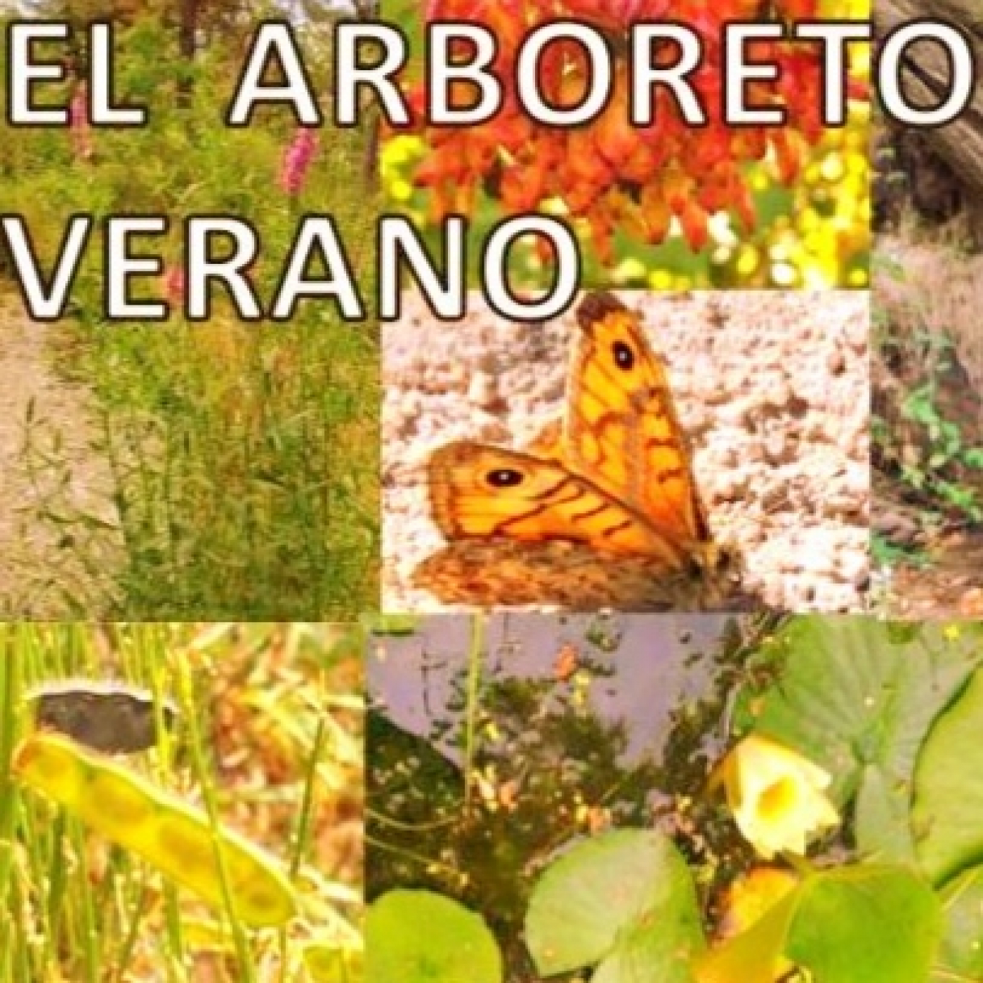 Ecosistema