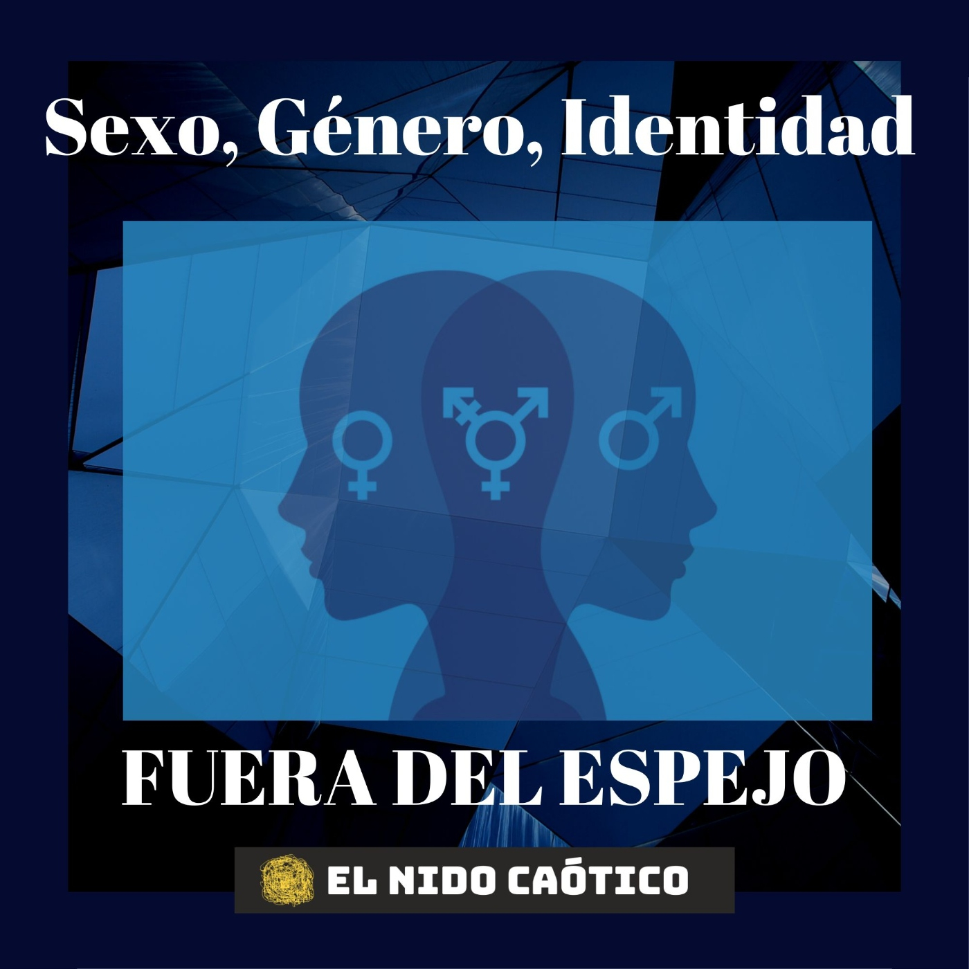EL NIDO CAÓTICO