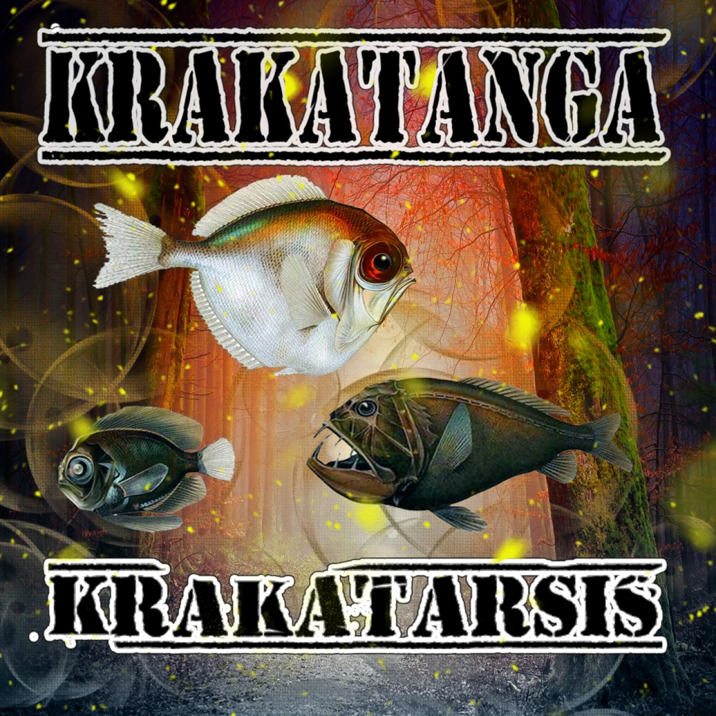 RKV MUSICA.