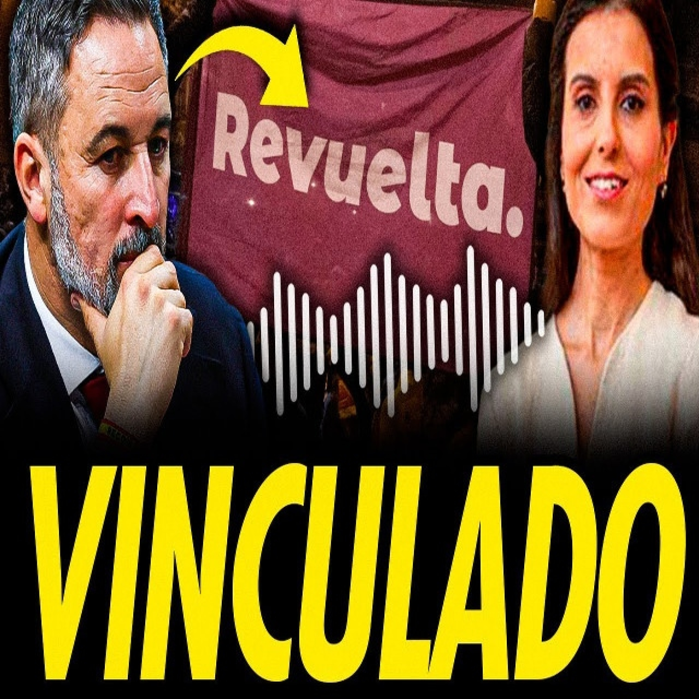 NUEVOS AUDIOS QUE CONFIRMAN LA VINCULACIÓN DE VOX CON REVUELTA