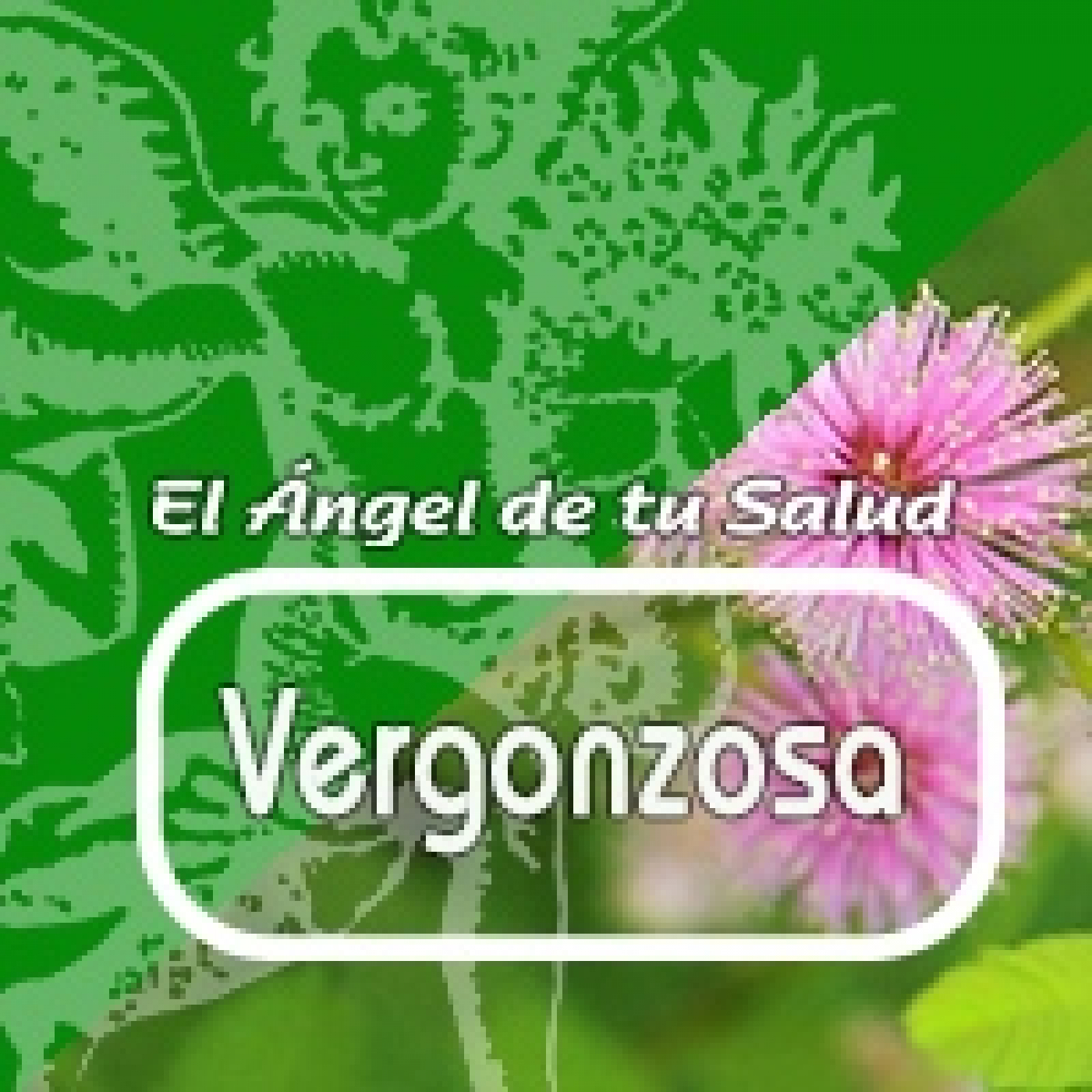 El Angel de tu Salud - VERGONZOSA *