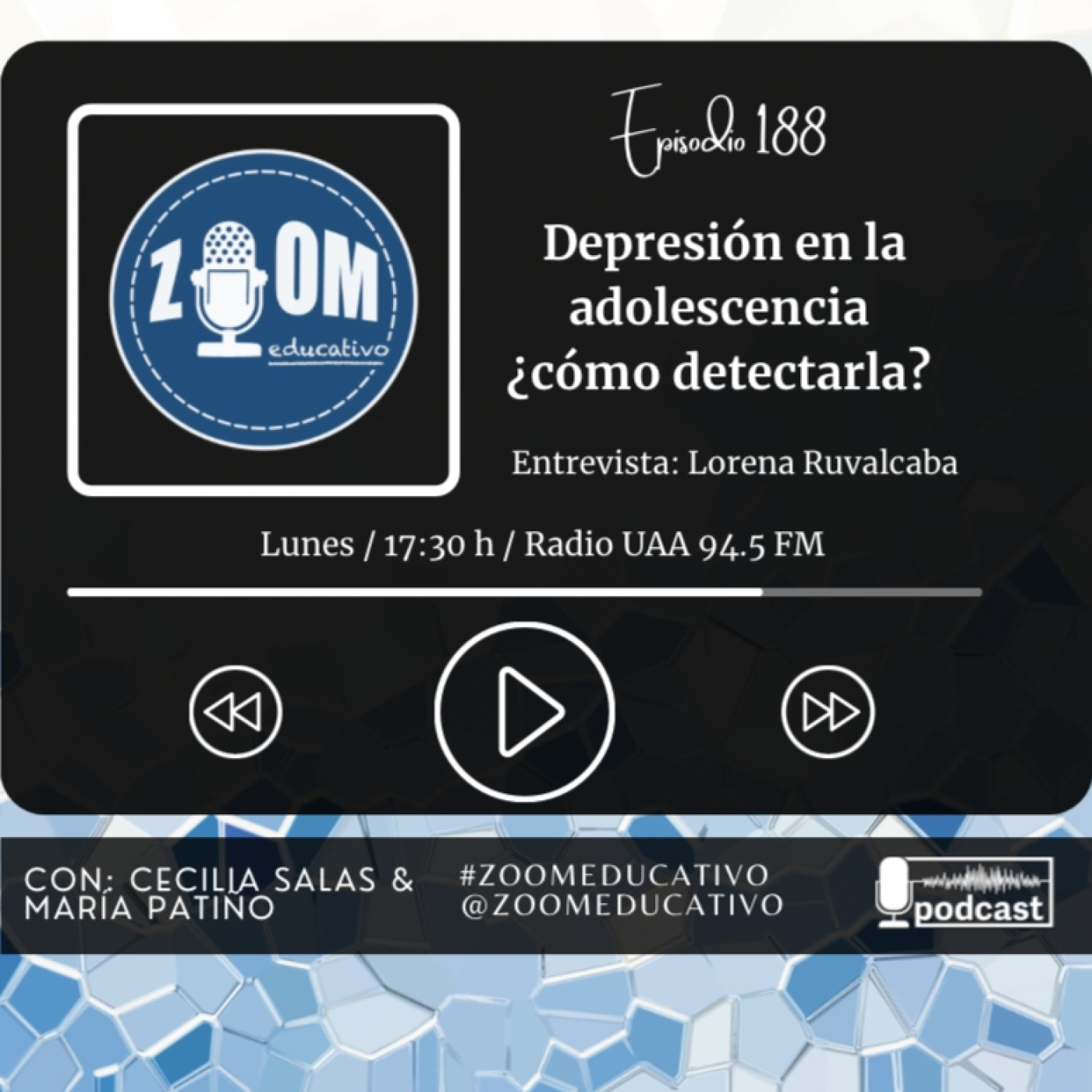 Zoom Educativo
